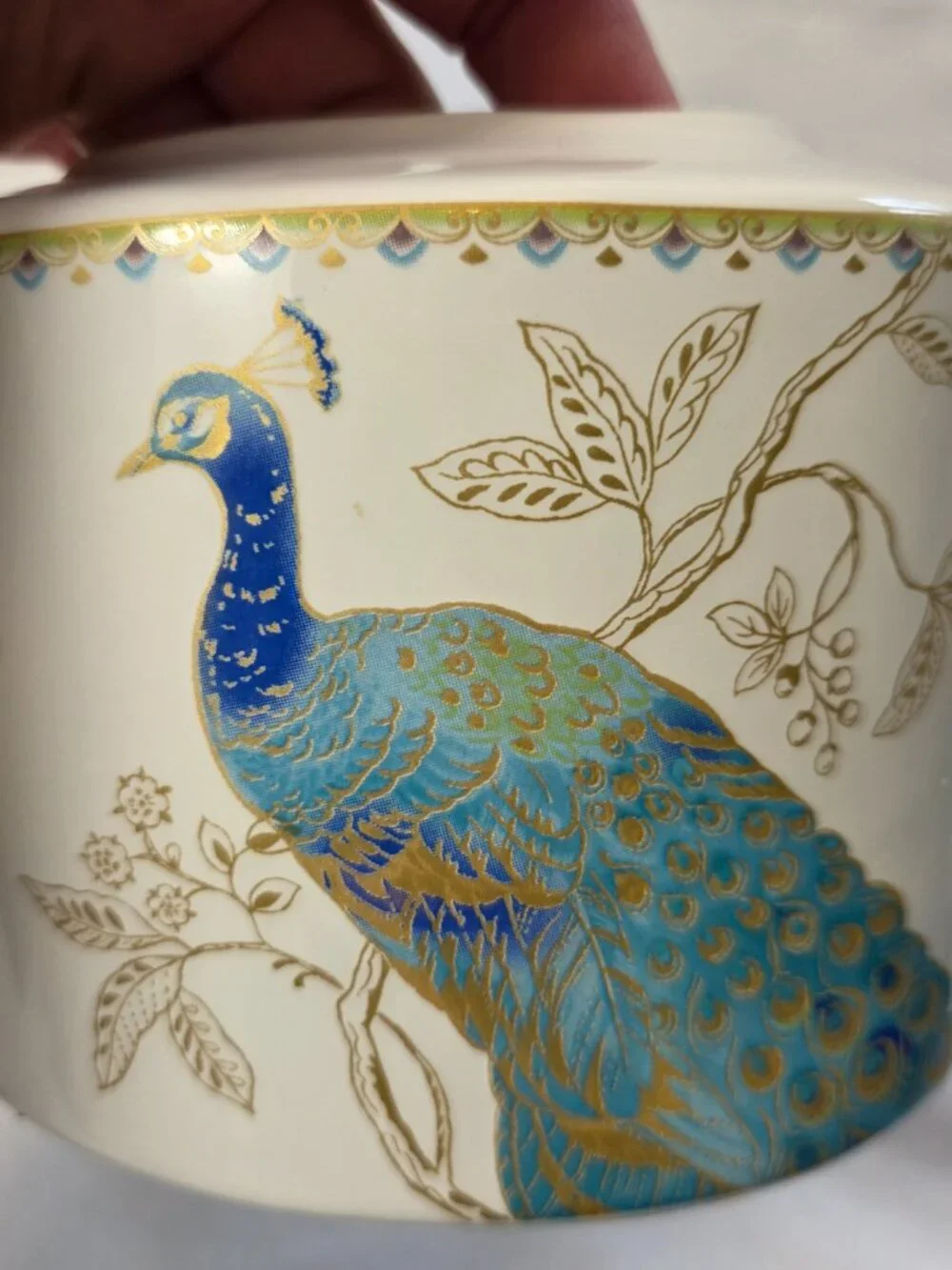 222 Fifth (PTS) Peacock Garden Teapot & Lid White with Blue Green Peacock 4 Cup